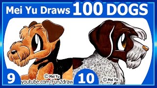 Drawing CHALLENGE  Mei Yu Draws 100 Dogs  9  10 Fun2draw Art Challenge [upl. by Aisauqal747]