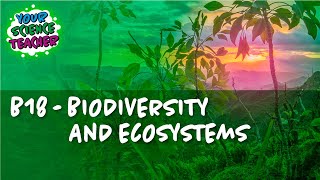 AQA GCSE 91 B18  Biodiversity and Ecosystems [upl. by Brandais]