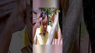 মেয়ের আবদার  Soya Pach Aray Lean newnatok funny [upl. by Tews]