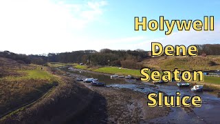 Seaton Sluice walking through Holywell Dene on the Northumberland Coast 4k 60fps [upl. by Yecak]