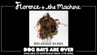 Florence and the Machine  Dog Days Are Over Breakage Remix [upl. by Aikrahs]