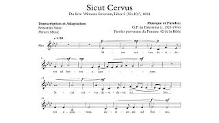 Alto  Sicut Cervus PL da Palestrina [upl. by Surad]