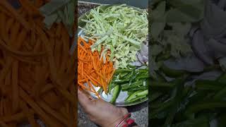 State style veg Chaumin food recipe vrpvlogkitchen [upl. by Nomrej]