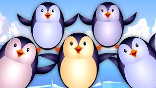 cinco pequeños pingüinos  aprende a contar  pingüinos rimas para niños  Five Little Penguins [upl. by Bove]