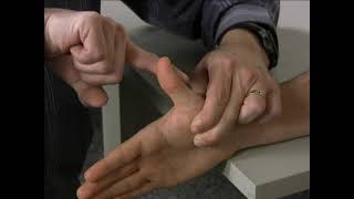 MMT Group Thumb Metacarpophalangeal MCP joint Extension [upl. by Zeus]