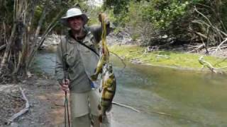 Pesca de Pavon llanos Venezolanos [upl. by Forta]