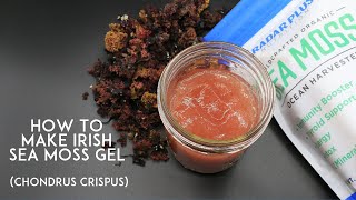 HOW TO MAKE IRISH SEA MOSS GEL CHONDRUS CRISPUS [upl. by Mendive]