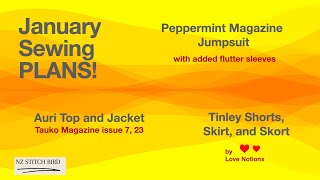 January Sewing Plans [upl. by Thissa]