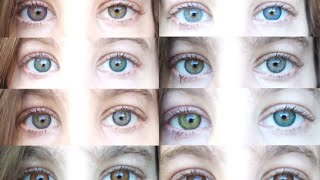 Color Contacts All 12 Freshlooks Color Contact Lenses [upl. by Esinal599]