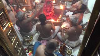 Kashi Vishwanath Darshan and Saptarishi Aarti [upl. by Gudrin]