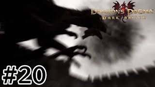 VSコカトリス【Dragons Dogma Dark Arisen】 [upl. by Seavey]