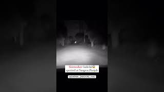 Skinwalker Spotted In Punjab  Real Video Shooted By Me  Skinwalker Saleda Bhoot Ghost Viral [upl. by Beutler]