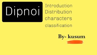 Dipnoi origin Distribution characters classification MSc BScBy kusum science workshop [upl. by Meghann]