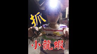 路邊就可以抓龍蝦，而且還不用錢。 [upl. by Erbua]