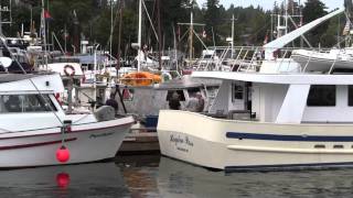 Westcoast Work Boat Association Salt Spring [upl. by Atikihc]