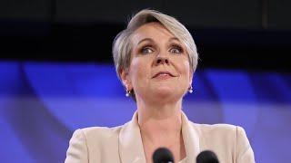 Tanya Plibersek denies negative gearing changes [upl. by Brubaker]