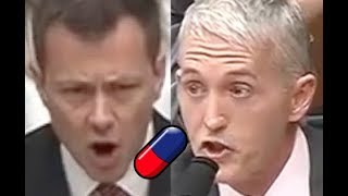 quotI DONT GIVE A DAMNquot Peter Strzok Hearing GOES OFF THE RAILS During Trey Gowdys Questioning [upl. by Jarrod]