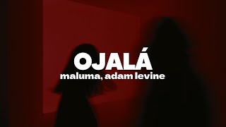 The Rudeboyz Maluma Adam Levine  Ojalá  Letra [upl. by Kaenel]