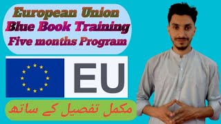 Blue Book Traineeship Program 202425How to apply for European Union Traineeship Program online [upl. by Halyahs]