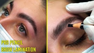 Follow along Brow Lamination tutorial for all eyebrow types Pro Pencil [upl. by Colp]