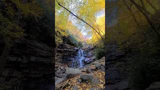 Lehigh Gorge 3 years ago pennsylvania [upl. by Elga]