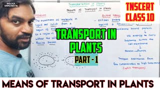 Transport in Plants  Part 1  Means of transport in plants  TNSCERT CLASS 10 [upl. by Wesle]