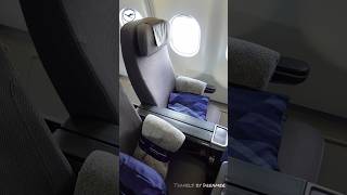 Lufthansa Premium Economy Review [upl. by Erised]