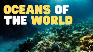 Oceans of the World for Kids  Learn all about the 5 Oceans of the Earth [upl. by Amery]