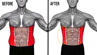 Get the PERFECT OBLIQUES  8 Exercises  No Equipment [upl. by Ahsiakal]