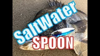 SaltWater SPOONAPOON [upl. by Kisung]