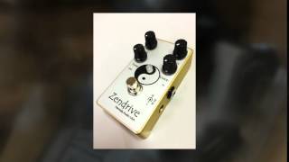 Goldielocks Quick Clip Hermida Zendrive gold amp Spring Reverb [upl. by Fem]