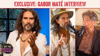 Gabor Maté on Trauma amp Addiction Plus Jordan Peterson amp Depression  Stay Free 183 PREVIEW [upl. by Ennaesor]