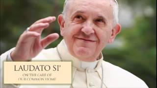 Pope Francis  Laudato Si  09 Chapter 5 EnglishAudio [upl. by Lethia]