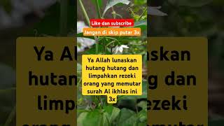 Surah Al ikhlas penenang hati trending shorts fyp shortvideo [upl. by Halie594]