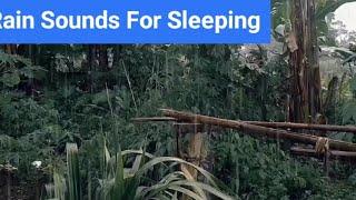 Rain Sounds For Sleeping 1 Hour  Relaxation Video [upl. by Nylatsyrc]