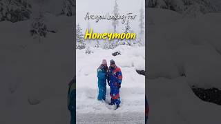 Manali Honeymoon Package 2024  Manali Trip Budget  Manali Budget Tour Plan  Manali Tourist Places [upl. by Guimond]