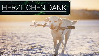 🐕🐶🎄🎄 Vielen herzlichen Dank für die Unterstützung 🐕🐶🎄🎄 [upl. by Inglis399]