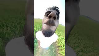 video insta360 funny camera 360 faizanvlog15 viralcamera funny [upl. by Ttreve]