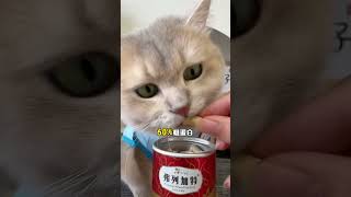 Cat owners really buy two cans of staple freezedried cat food for 99 yuan Dont miss it if yo [upl. by Lidia]