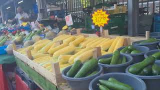 haagse markt den haag holland [upl. by Nittirb]