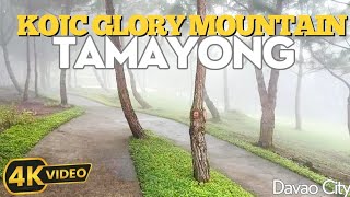 EXPLORING KOJC GLORY MOUNTAIN TAMAYONG DAVAO CITY PHILIPPINES RAIN WALK 4K [upl. by Ronnica411]