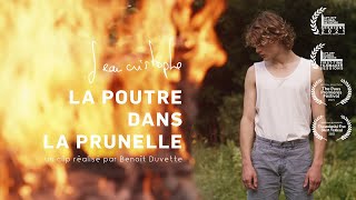 La Poutre dans la Prunelle clip officiel [upl. by Corissa]