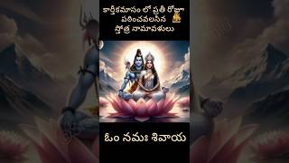 కార్తీకమాసంలో ప్రతిరోజూ చదవాల్సిన దేవుడి స్త్రోత్రనామావళి list  2024 [upl. by Westfall62]