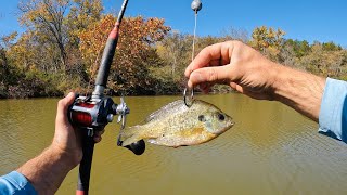 4 Hours of RAW and UNCUT Kayak Catfish and Carp Fishing with Live Bluegill and Worms [upl. by Alet]