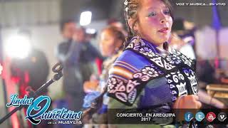 LINDAS QUIÑOTEÑAS DE LA HUAYLIAen conciertoArequipa  2017 [upl. by Sucerdor]