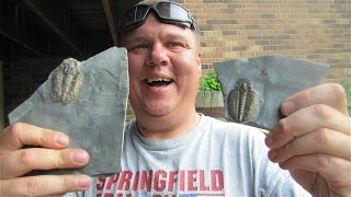 Cleaning Trilobites from UDig fossils [upl. by Mill]