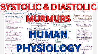 SYSTOLIC amp DIASTOLIC MURMURS ABNORMAL HEART SOUNDS CVS [upl. by Vladimar]