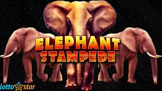 Elephant Stampede  Lottostar [upl. by Infeld772]