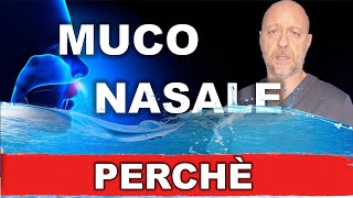 Perchè si forma il muco nasale A cosa serve Mi devo preoccupare [upl. by Roht]