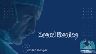 بسكوتة ال Wound Healing ديوسف السيد [upl. by Harmon]